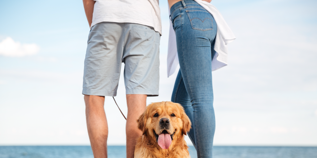 Cinco playas de la costa española para disfrutar junto a tu perro