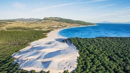Arena blanca y aguas cristalinas: seis playas de Cádiz que no tienen nada que envidiar al Caribe