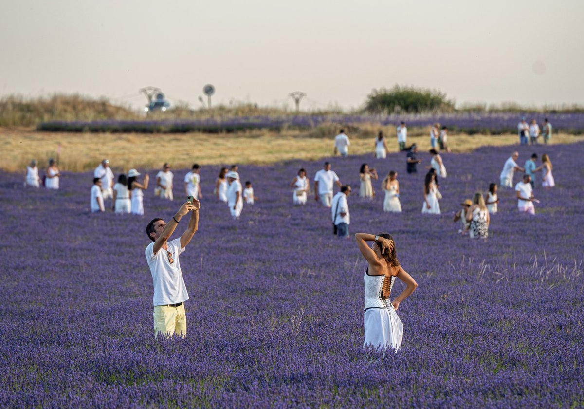 Varios turistas posan para una foto mientras visitan los campos de lavanda en flor de Brihuega