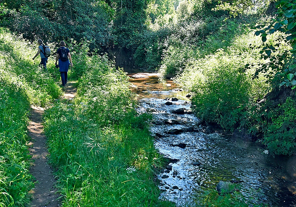 Sendero del río Caliente en Jabugo
