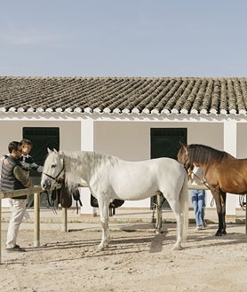 Imagen secundaria 2 - Lobby del hotel Finca La Bobadilla, uno de sus patios con fuente y sus caballos