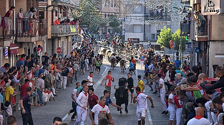 Corredores y toros en el recorrido urbano