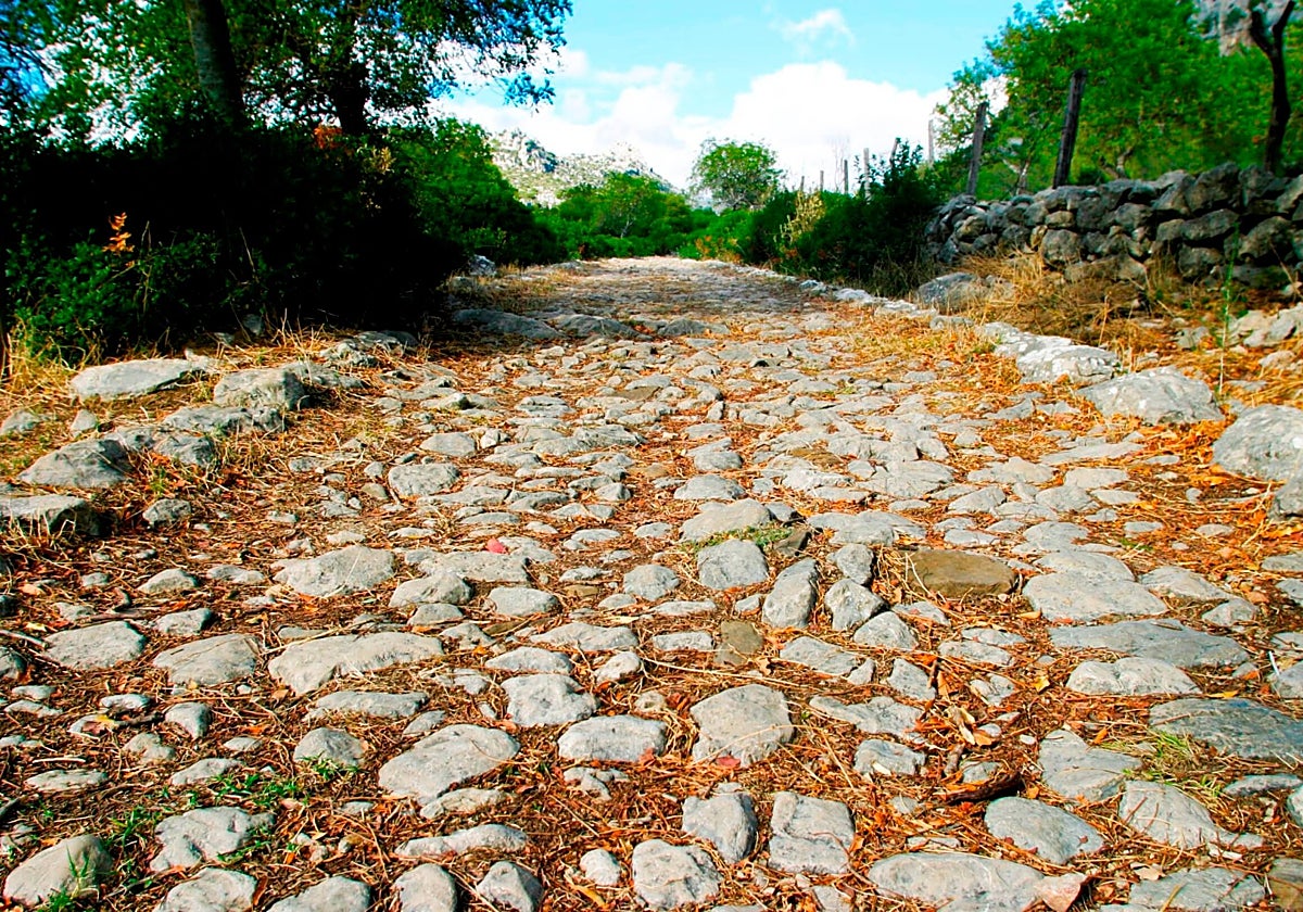 En esta localidad de la provincia de Cádiz se puede realizar una ruta de senderismo a través de una calzada romana