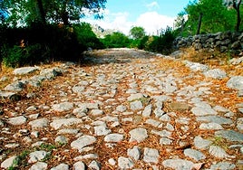 El pueblo blanco de Cádiz con una calzada romana, un 'diente del diablo' y un sinfín de rutas