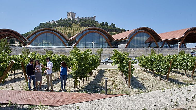 Enoturismo en Bodega Protos