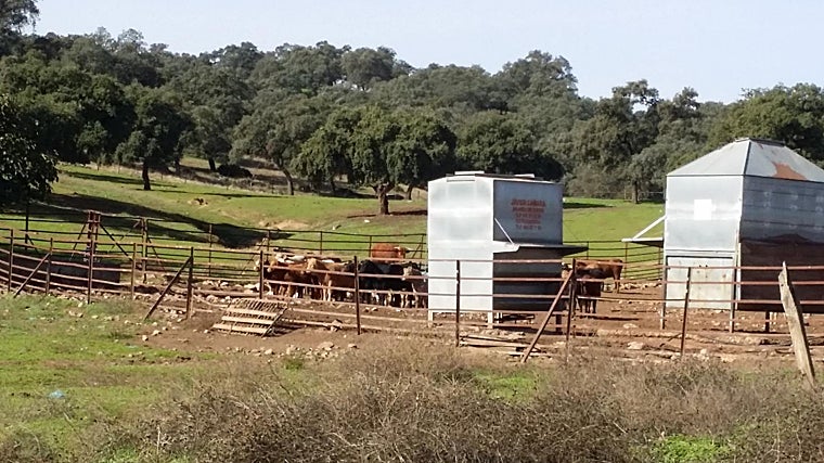 A lo largo de la ruta puedes ver distintos animales