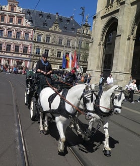 Imagen secundaria 2 - El puente habitado más largo de Europa está en Erfurt y ha cumplido 700 años