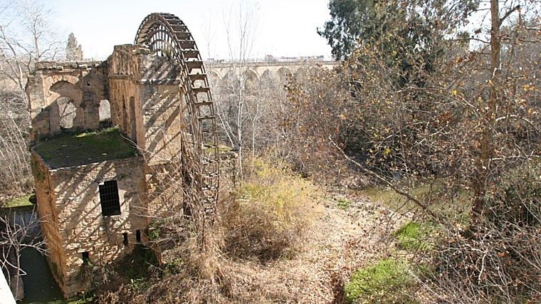 La única ciudad de España con más molinos está en Andalucía: «Pocas urbes europeas conservan tantos»