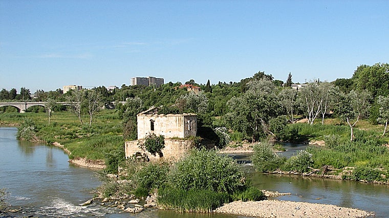 La única ciudad de España con más molinos está en Andalucía: «Pocas urbes europeas conservan tantos»