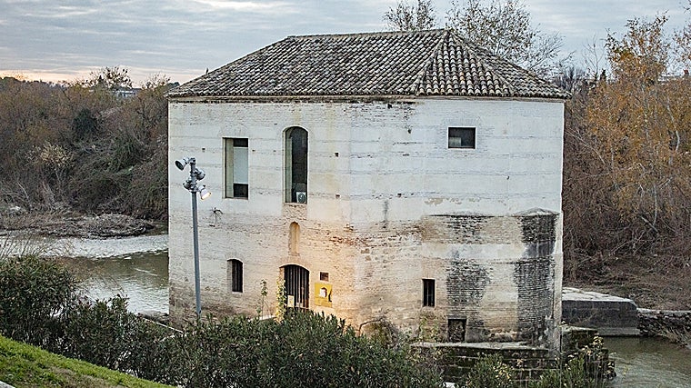 La única ciudad de España con más molinos está en Andalucía: «Pocas urbes europeas conservan tantos»