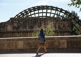 La única ciudad de España con más molinos está en Andalucía: «Pocas urbes europeas conservan tantos»