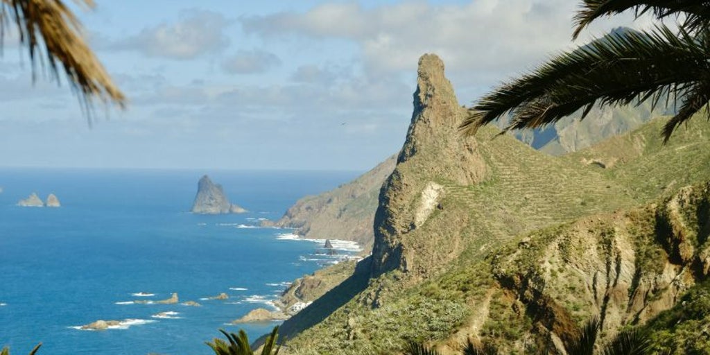 Explora, degusta y disfruta Tenerife en un solo vuelo directo desde tu ciudad