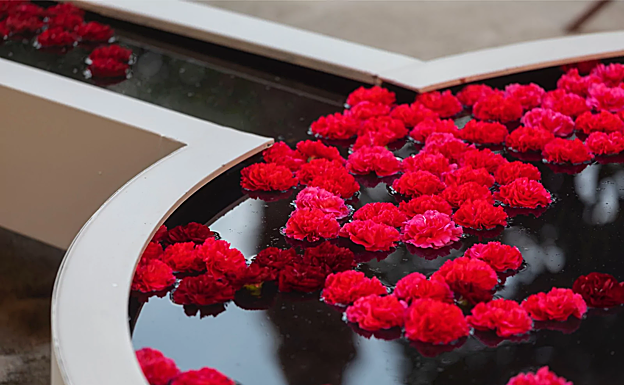 Las flores y los diseños contemporáneos inundan los patios cordobeses