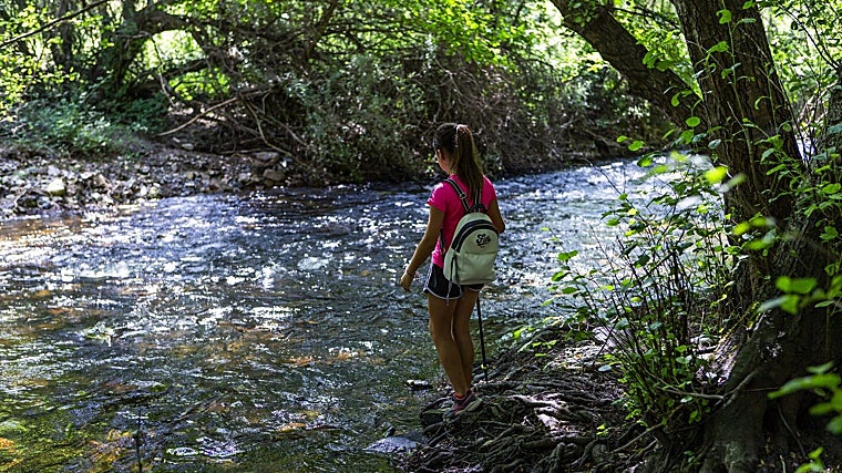 Descubre el Pontón de la Oliva, la presa del siglo XIX que quiso dar agua a Madrid