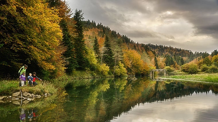 La Selva de Irati ofrece diferentes rutas