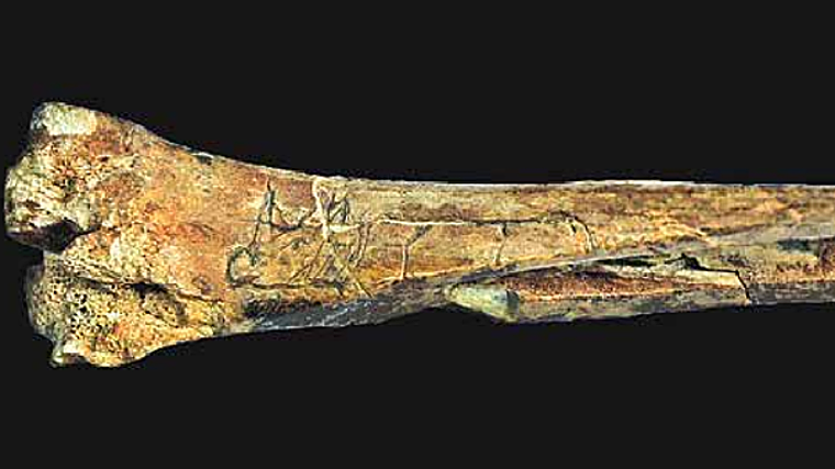 Hueso grabado encontrado en la Cueva de la Mora