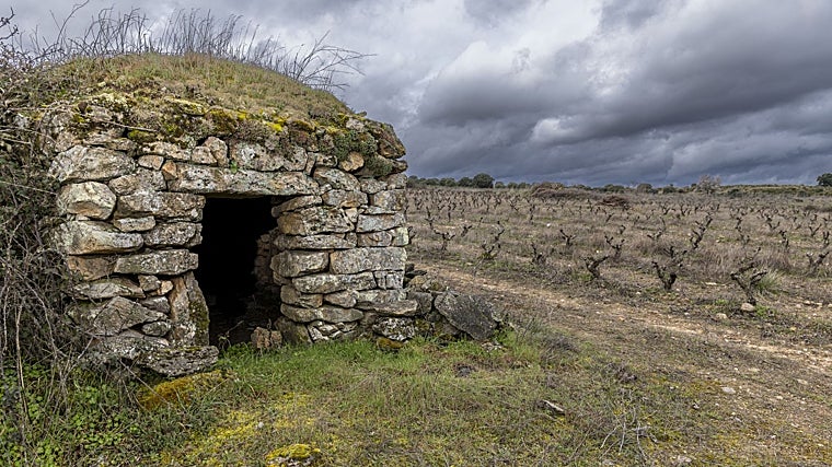 Nueve rutas de vino imprescindibles para descubrir los paisajes más sorprendentes de Castilla y León