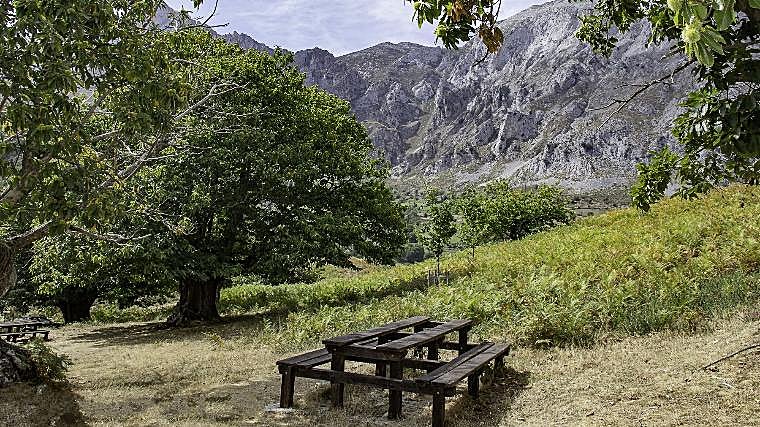 Bustards, a journey into the past among the ancient chestnut trees of Libana