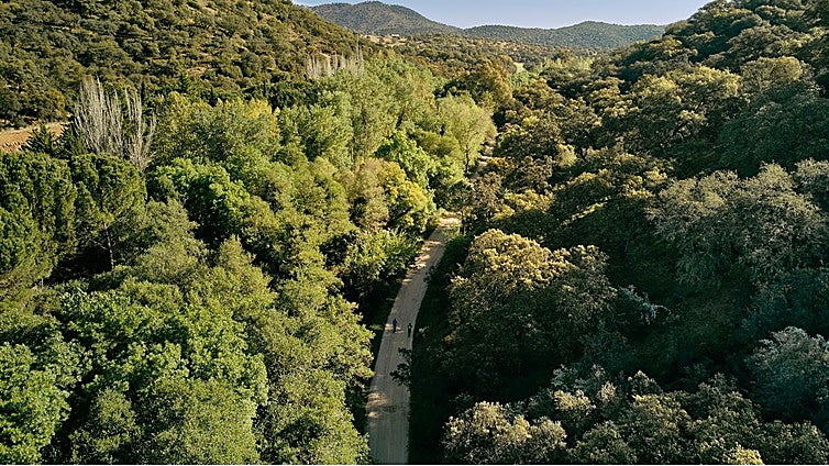 La Sierra Morena de Sevilla, un oasis entre dehesas de encinas y alcornoques