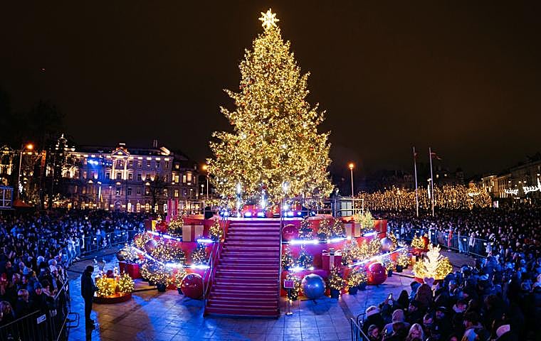 Inauguration of the Christmas tree in Vilnius on November 29