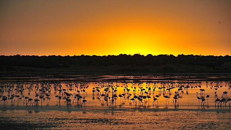 Outra Sevilha: a natureza como destino turístico ativo