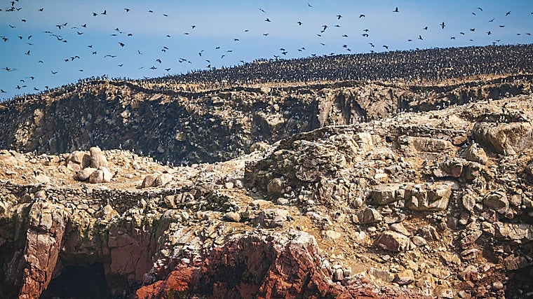 Aves marinhas nas rochas das Ilhas Ballestas