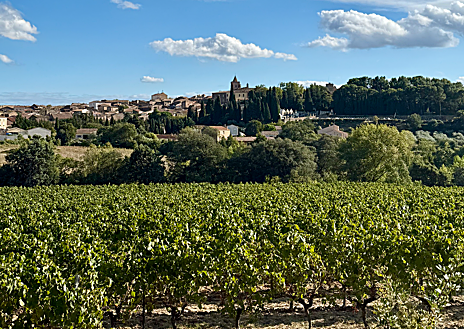 Imagem Secundária 1 - Obras, Vinhedos e Camin'Arts Greenway Trail