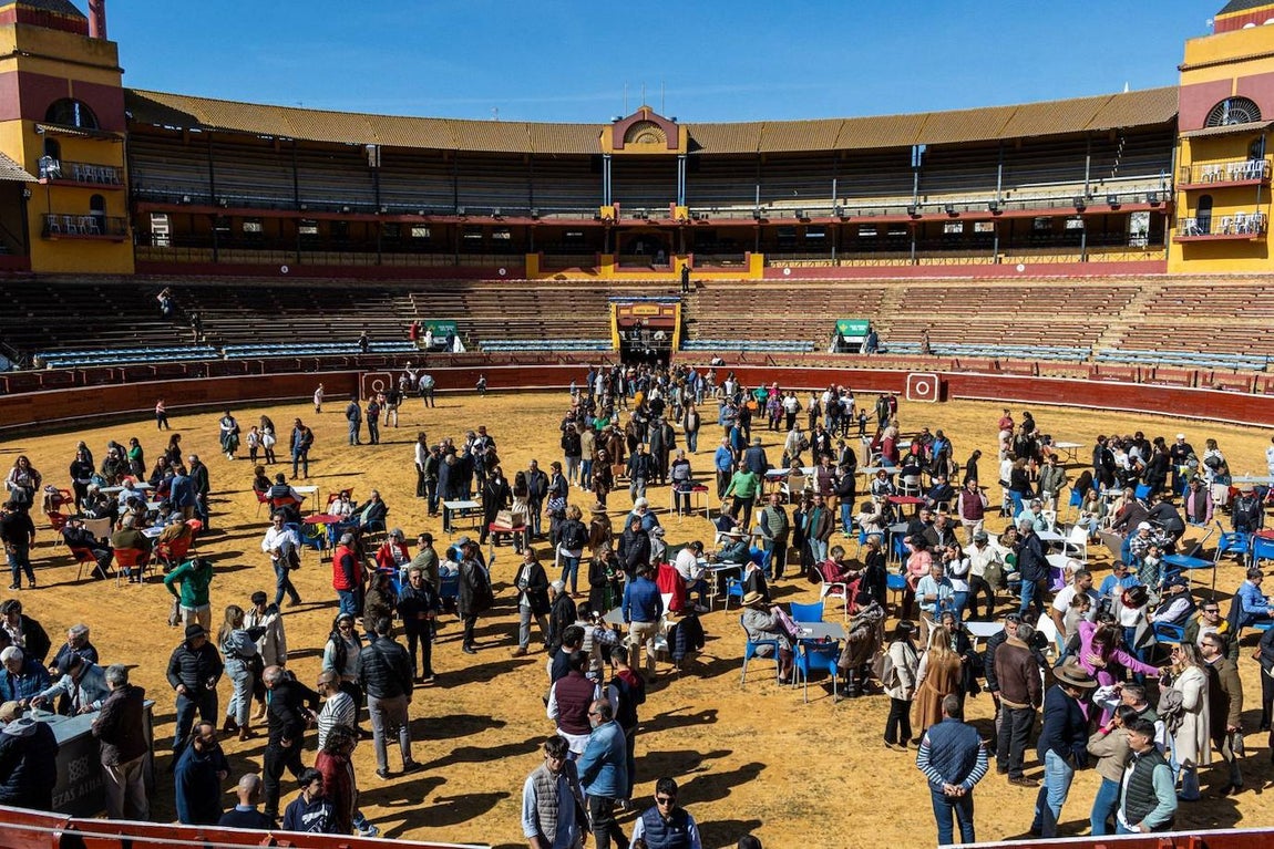 Las imágenes del ‘Tentadero Público’ en homenaje al abonado en la Plaza de Toros de La Merced