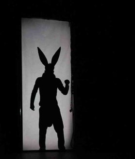 Imagen secundaria 2 - Lo burros que somos