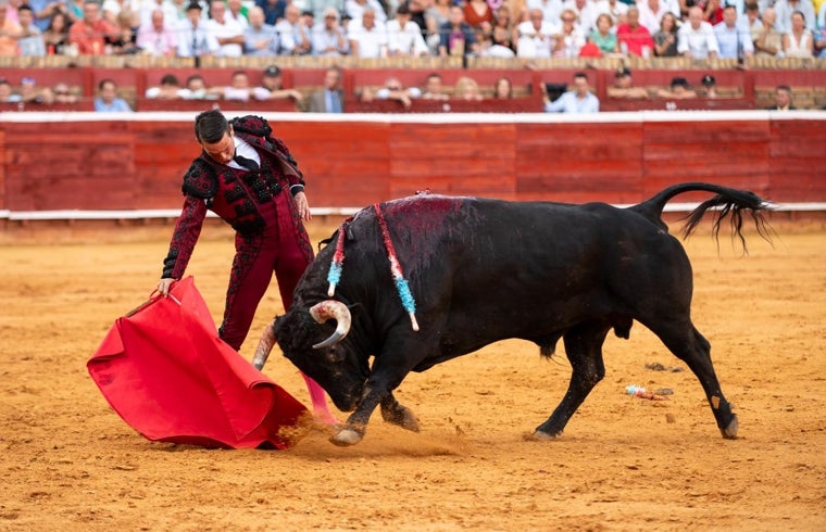 Manzanares torea de muleta a su primero
