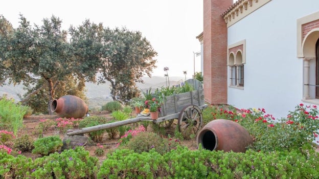 Una parte del jardín con vistas a la Sierra de Huelva