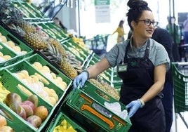 Mercadona busca empleados en Almonte, Bollullos del Condado y La Palma