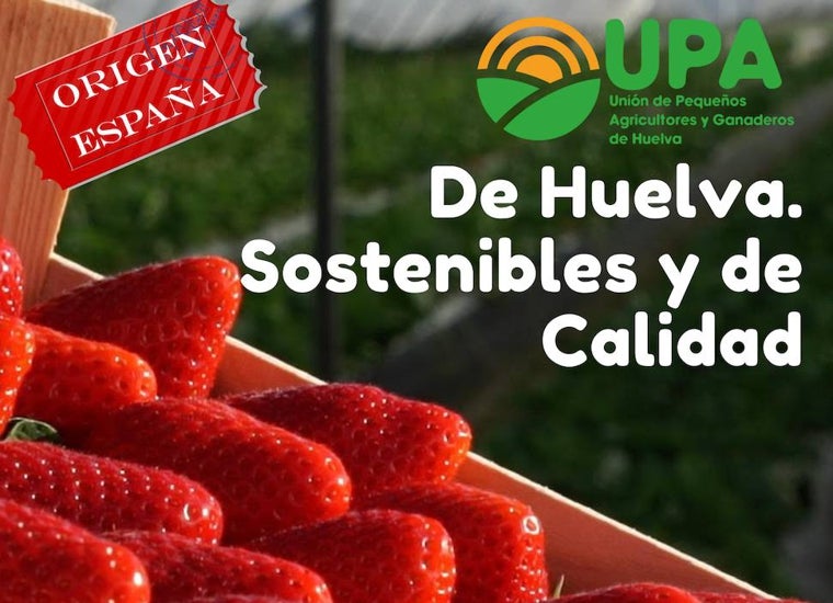 UPA reparte fresas de Huelva en Sevilla para «demostrar» que se pueden consumir con «total garantía sanitaria»