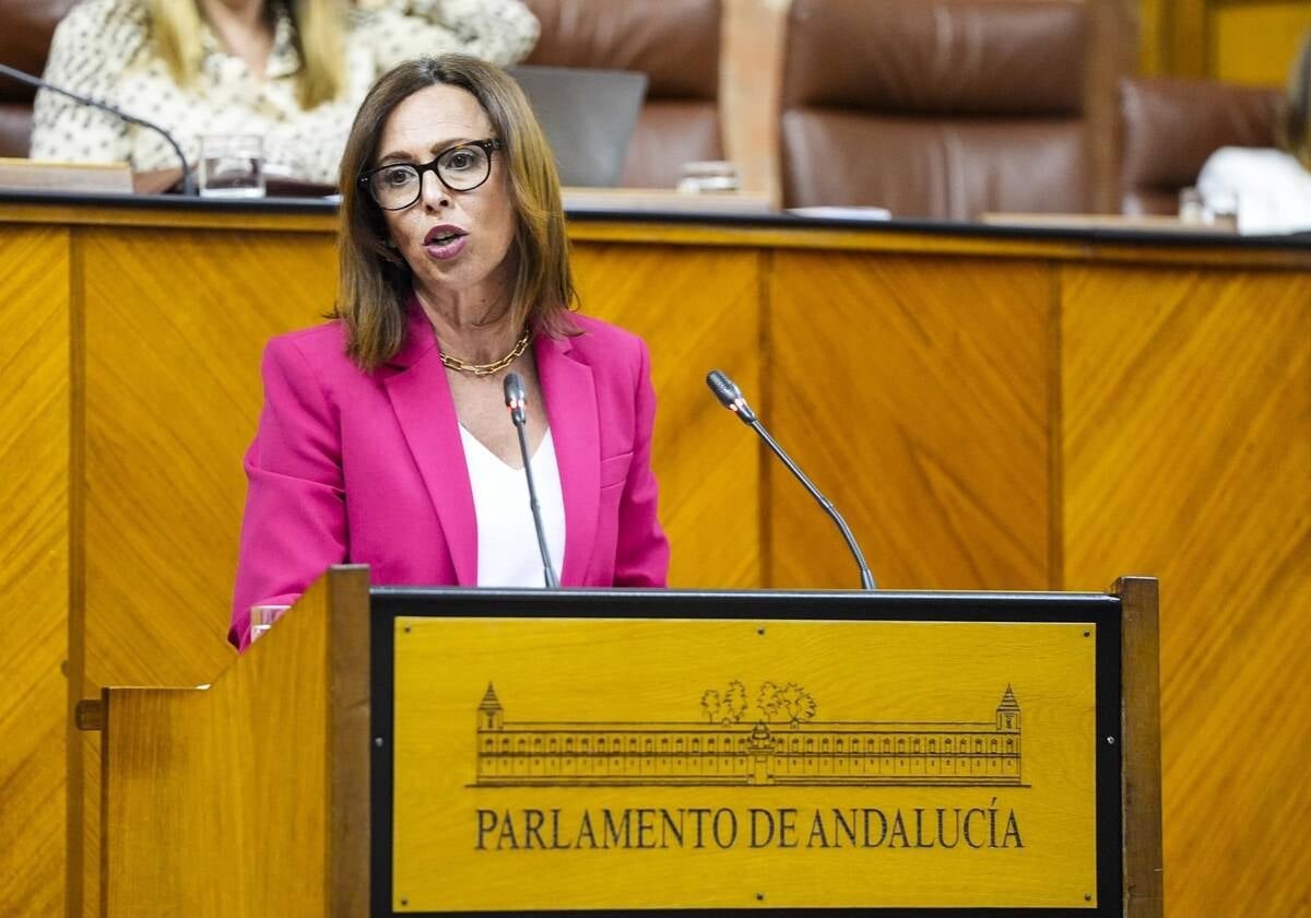 La consejera de Fomento, Rocío Díaz
