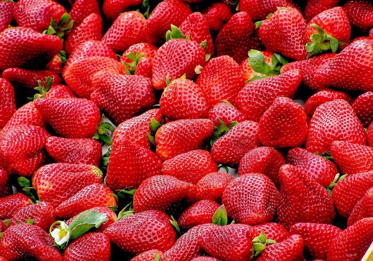 Fresas de Huelva