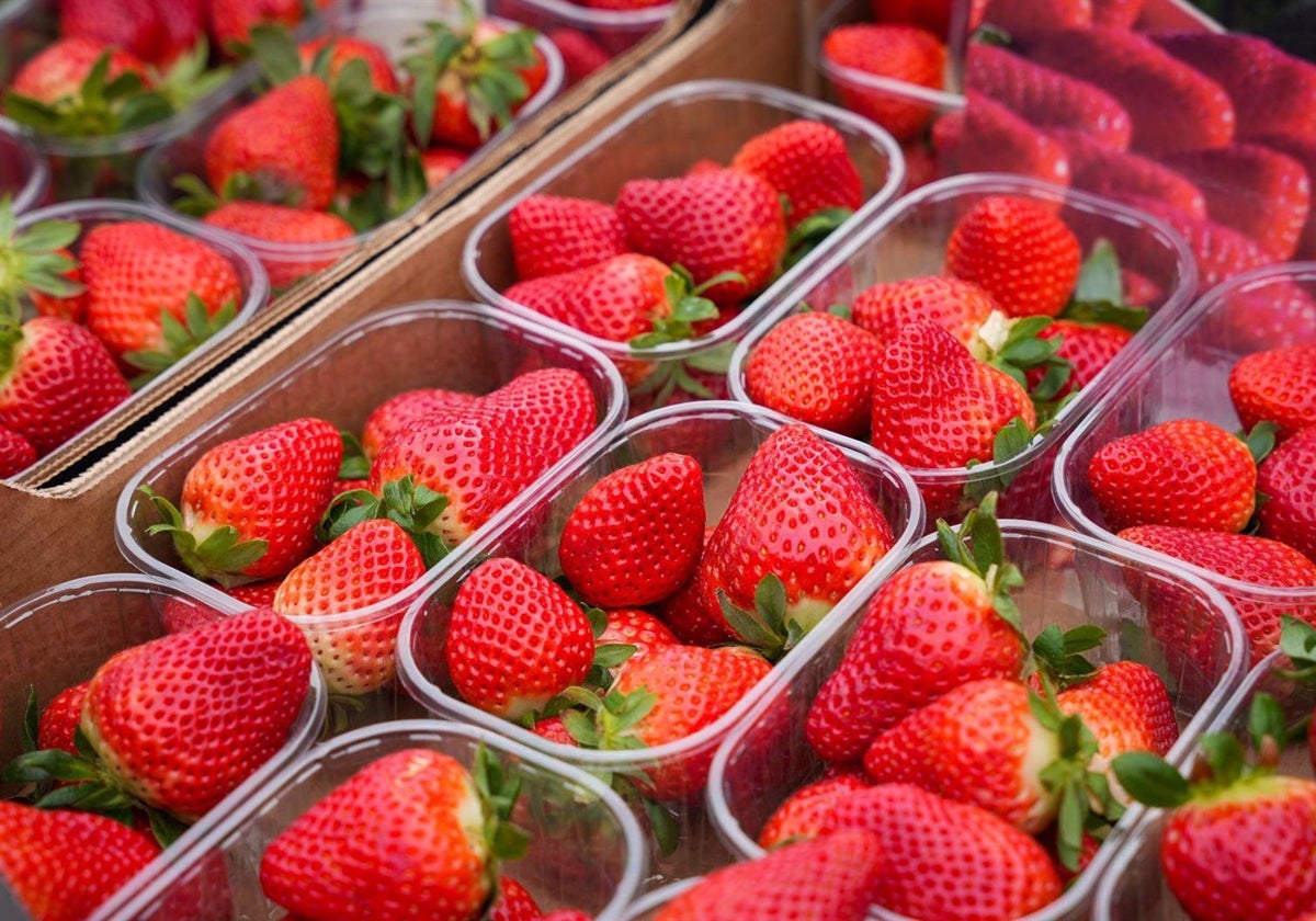 Fresas de Huelva