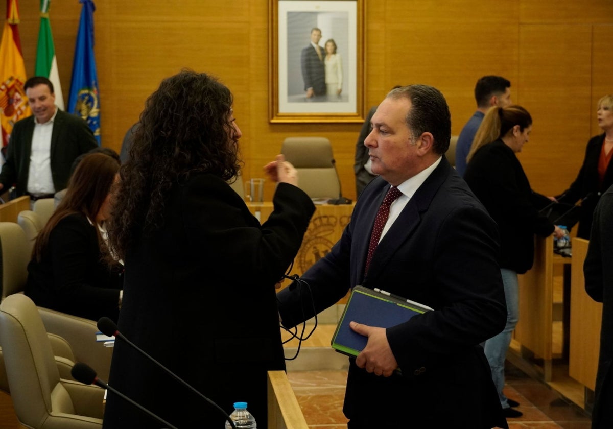 David Toscano, presidente de la Diputación de Huelva, en el pleno ordinario de esta mañana