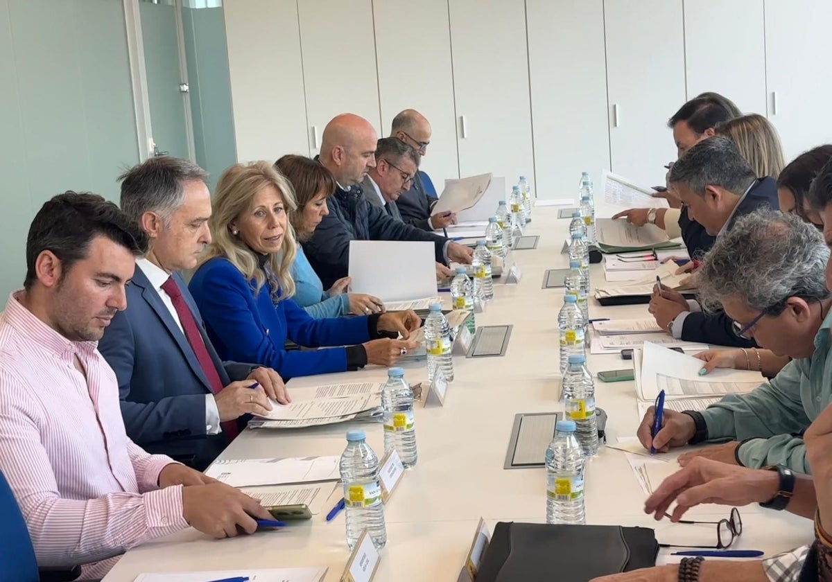 María José Rico presidente la comisión de seguimiento de los fondos del PFEA celebrada esta mañana