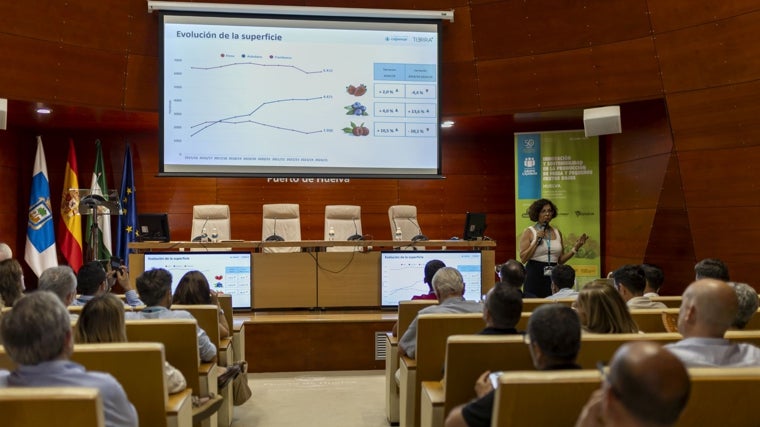 Presentación del informe del balance provisional