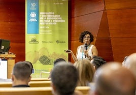 Más exportaciones y precios al alza, aunque con rentabilidad ajustada: así cierra la campaña 2025 de frutos rojos en Huelva