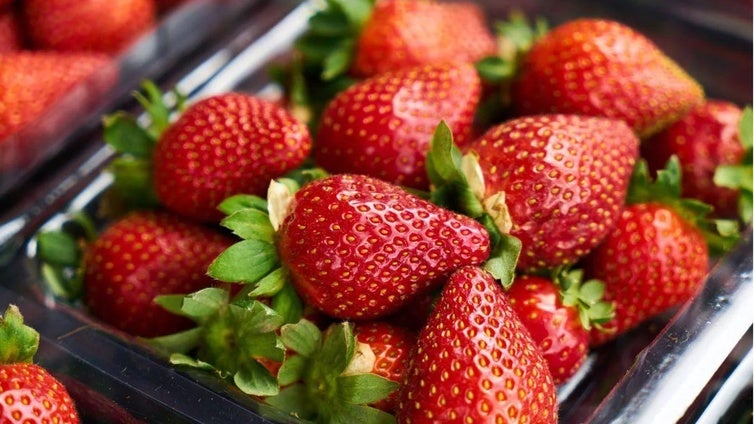 La fresa de Huelva rompe su techo varietal con más de 50 variedades en cultivo