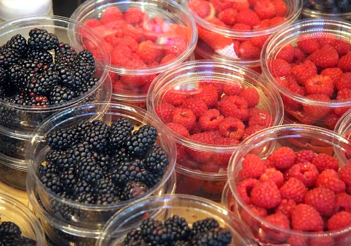Moras y frambuesas listas para su comercialización