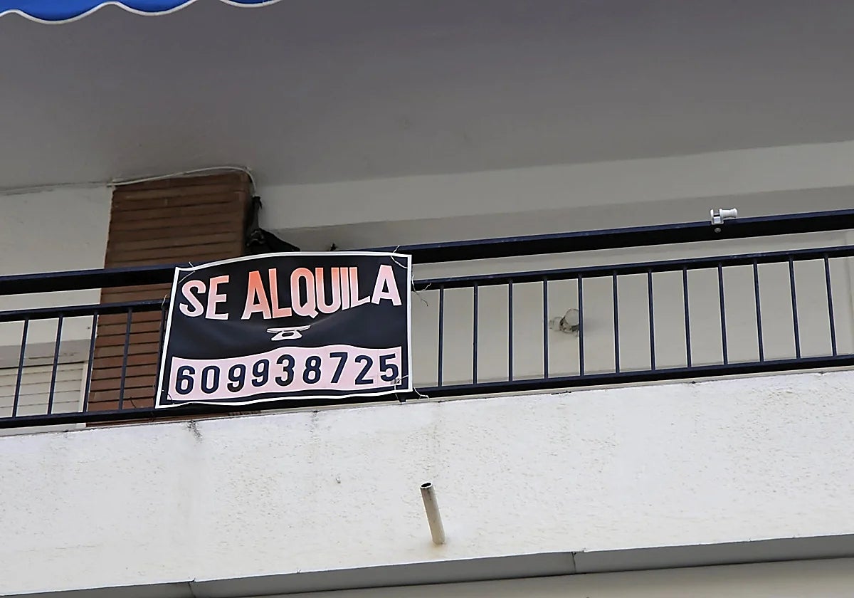 Anuncio de alquiler de un piso en un barrio universitario de Sevilla