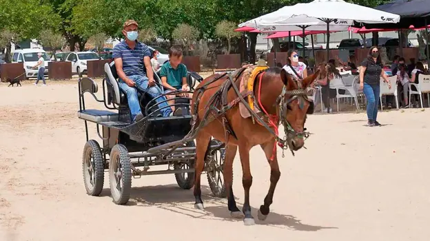 Un carro circula por la aldea durante la Romería