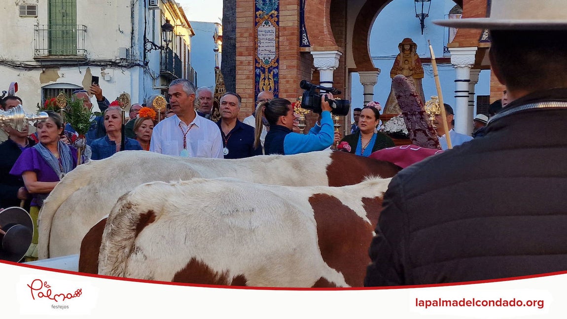 La salida de la hermandad del Rocío de La Palma, en imágenes
