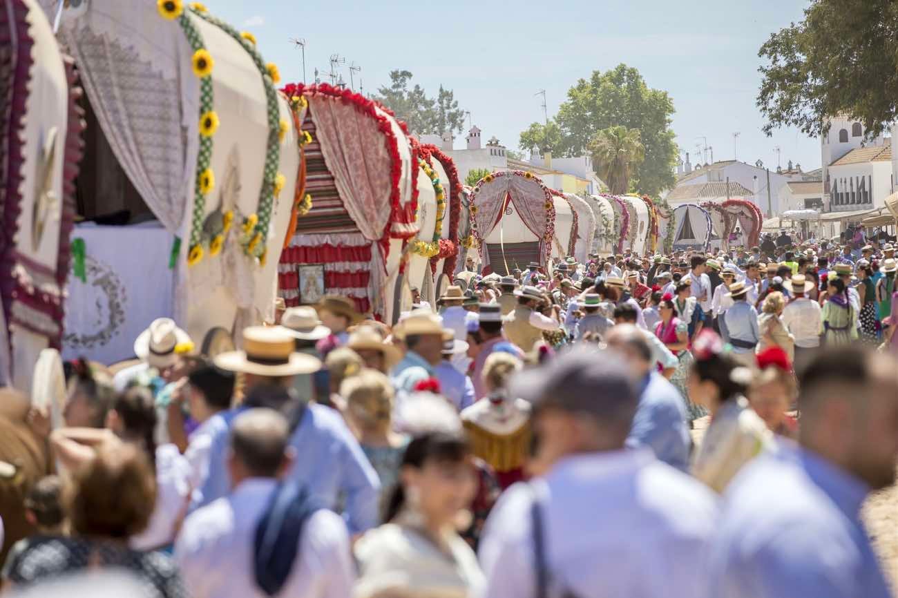 La presentación de hermandades, en imágenes