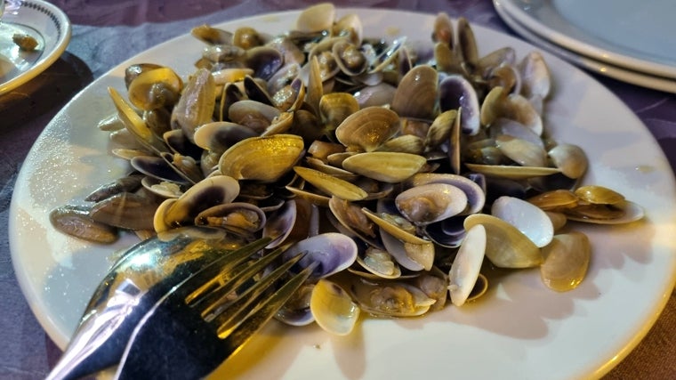 Plato de coquinas servido en el Restaurante Portichuelo