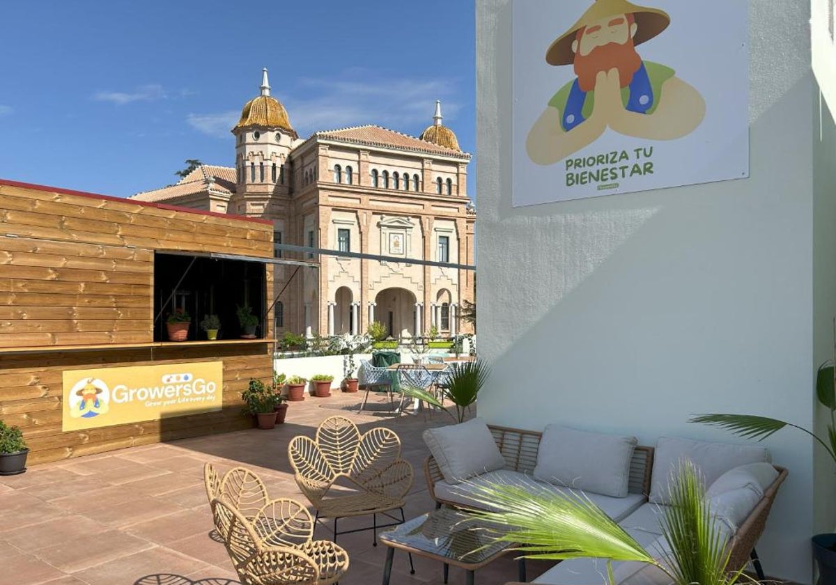 Terraza abierta al público del hotel Growersgo, en Huelva capital