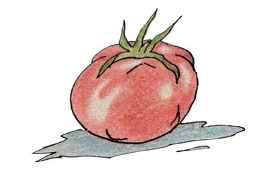Gazpacho
