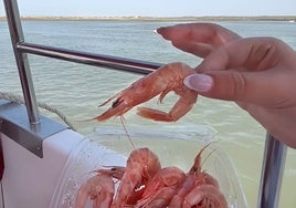 Paseo en barco con gambas y vino: así es el plan perfecto que puedes hacer en Huelva